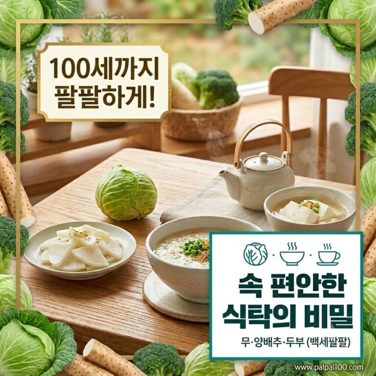 정갈한 나무 식탁 위에 소화가 잘되는 음식인 신선한 무, 양배추, 그리고 부드러운 두부 요리가 조화롭게 차려진 모습. 이미지 상단에는 '100세까지 팔팔하게!', 우측 하단에는 커다랗고 선명한 글씨로 '속 편안한 식탁의 비밀 - 무·양배추·두부 (백세팔팔)'라는 타이틀 텍스트가 강조되어 적혀 있는 눈에 띄는 블로그 대표 정사각형 썸네일 이미지