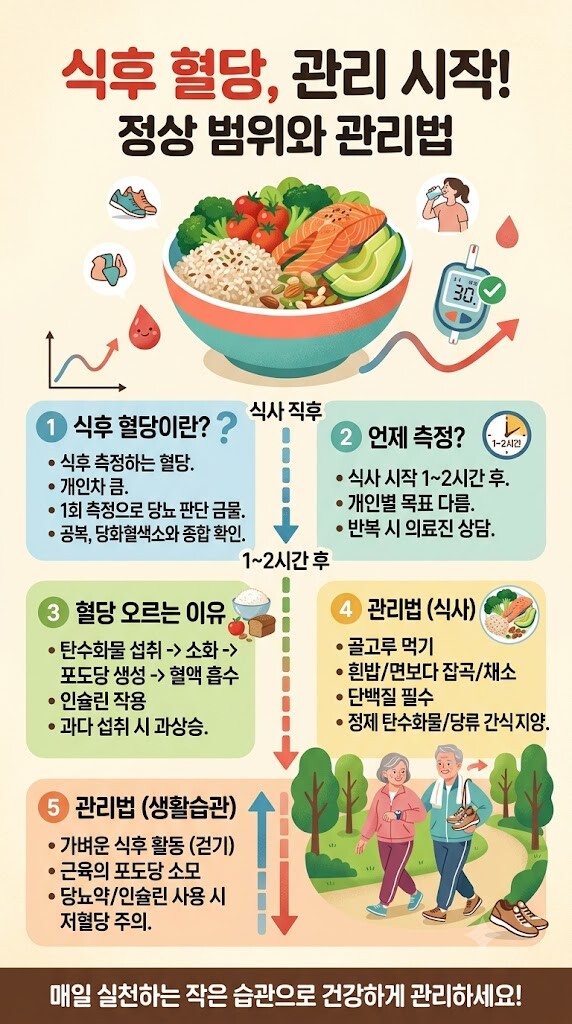 식후 혈당의 정의, 측정 시기, 상승 원인부터 식습관 및 생활습관 관리법까지 식후 혈당 관리 핵심 정보를 단계별로 정리한 세로형 인포그래픽.