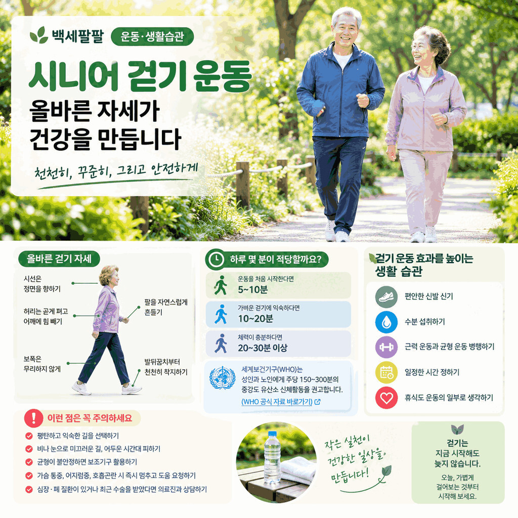 시니어 걷기 운동 방법, 올바른 걷기 자세와 하루 운동 시간 및 안전 수칙